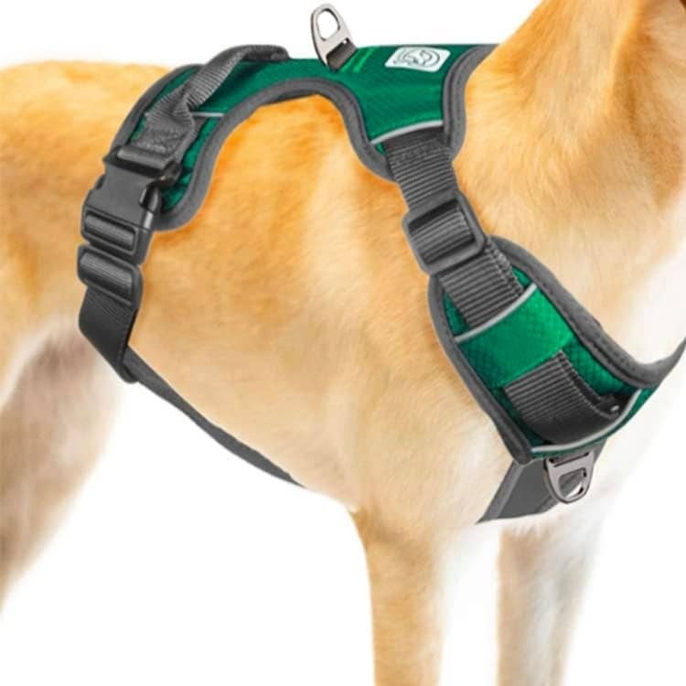 Embark dog harness best sale